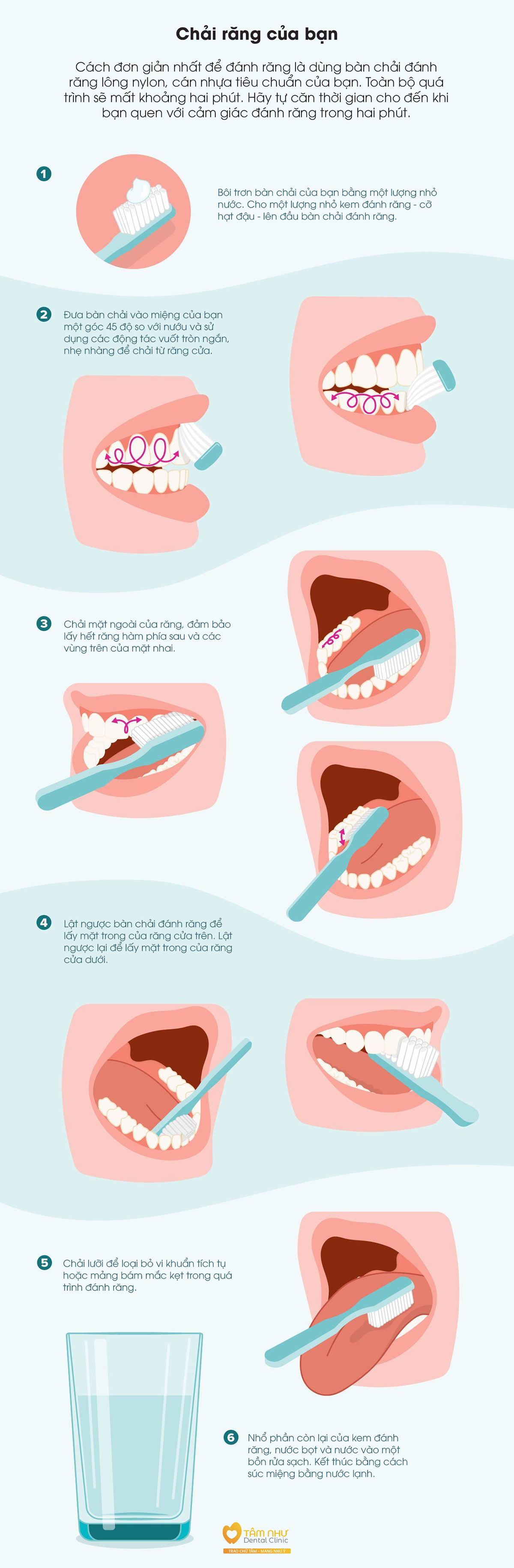 Đánh răng đúng cách | Nha khoa Tâm Như - Quận 10